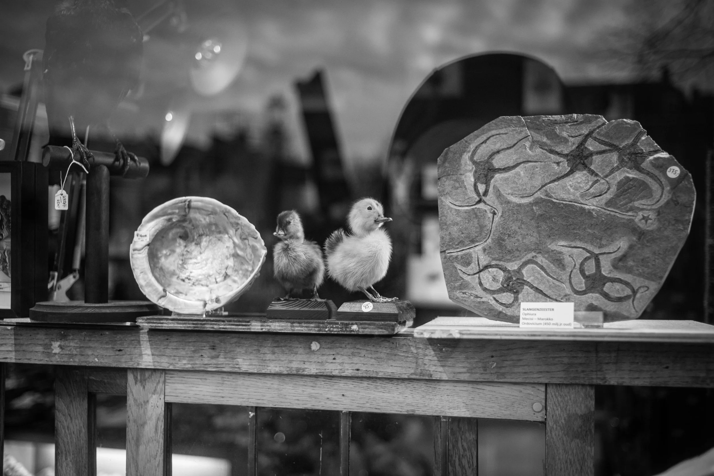L1006388.JPG