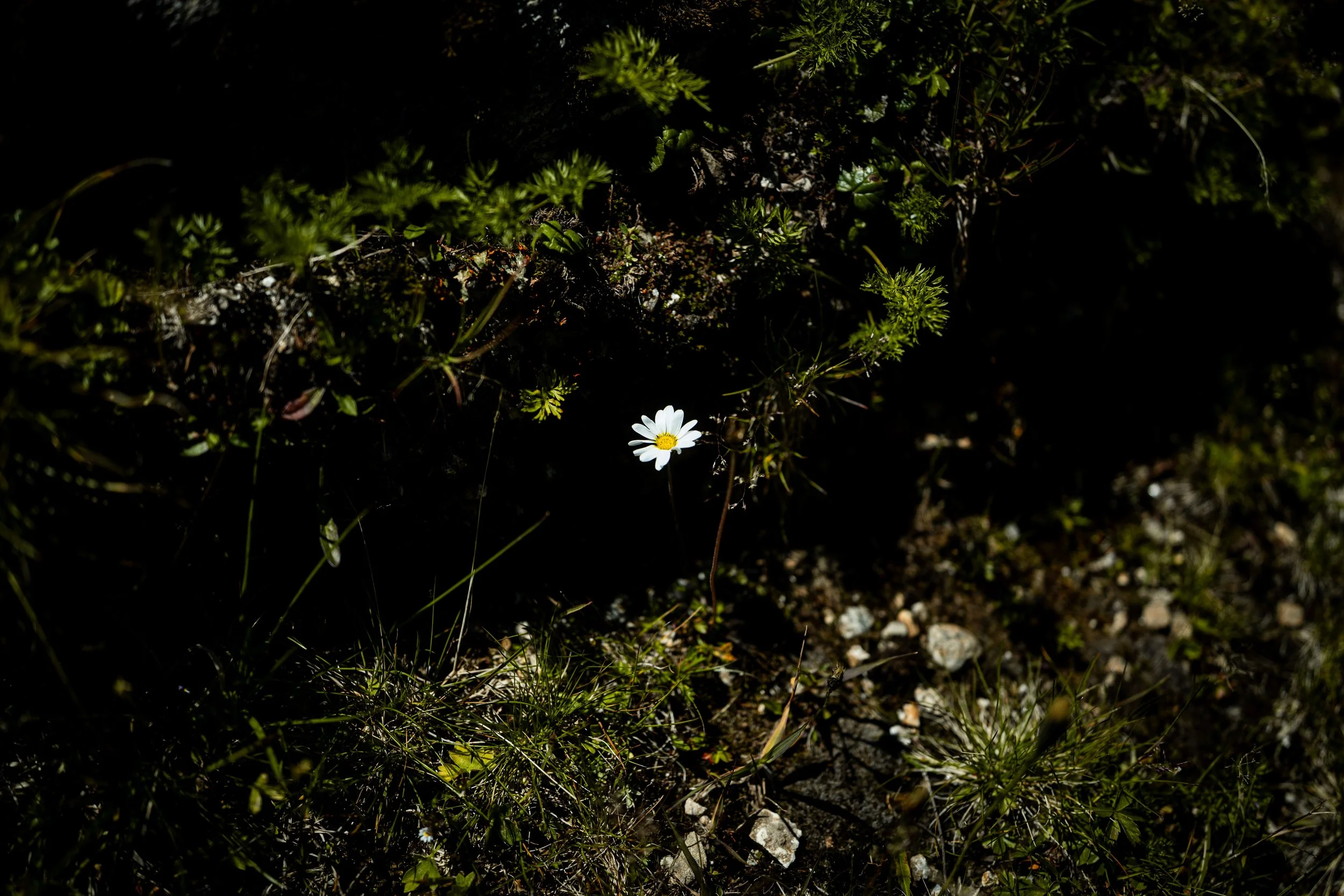 L1014361.jpg