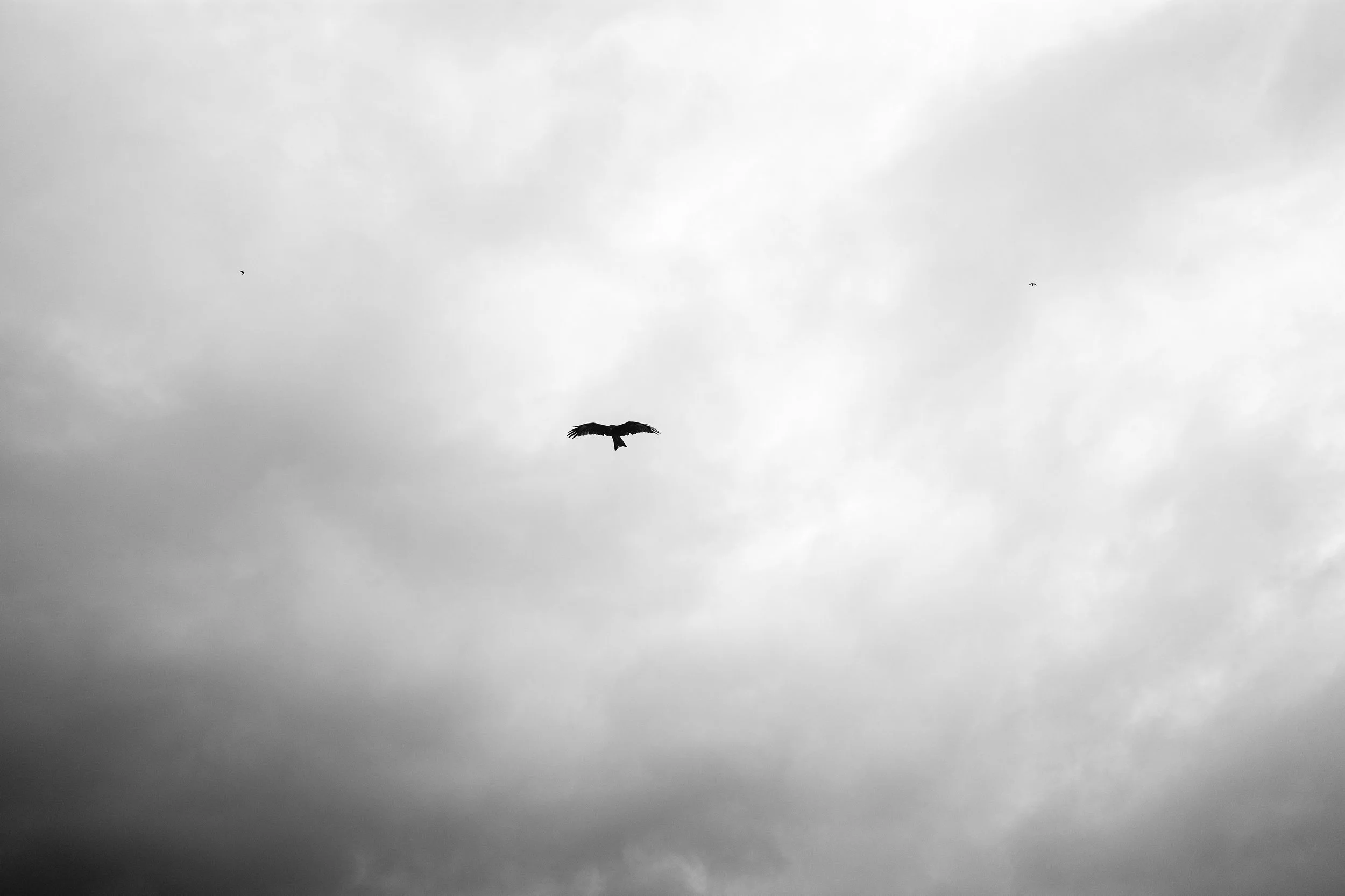 L1011827.jpg