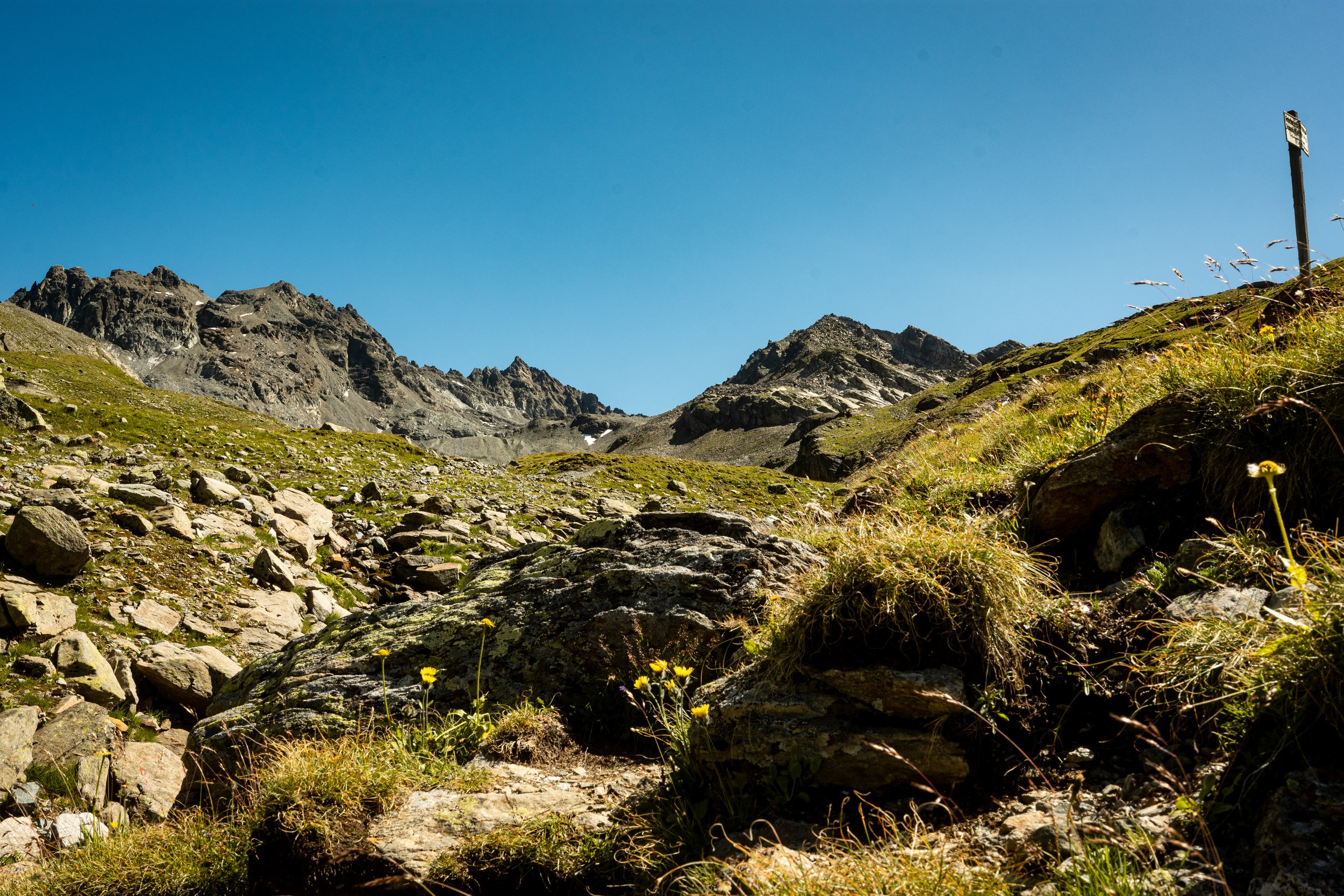 L1014392.jpg