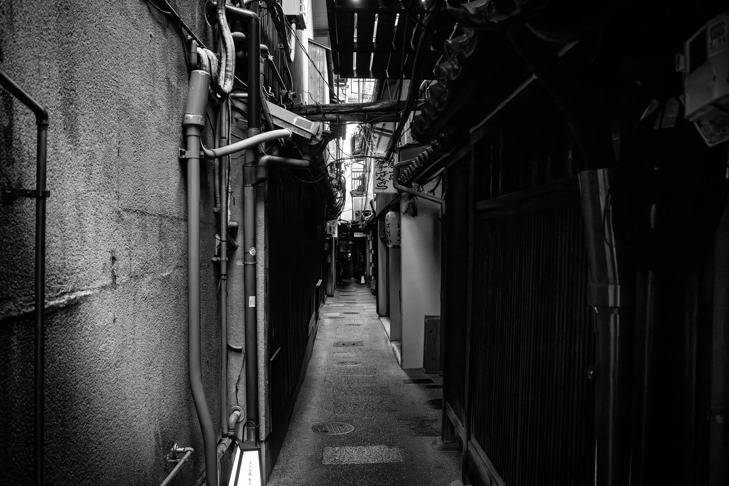 L1001035.jpg