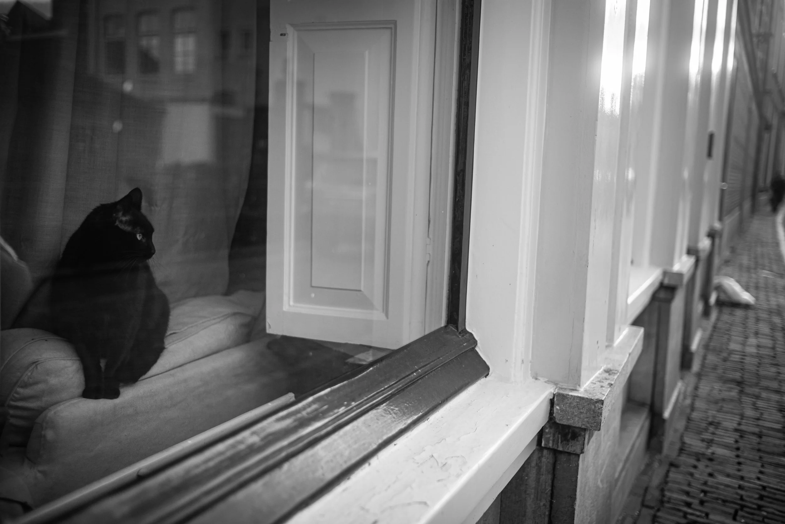 L1006334.JPG