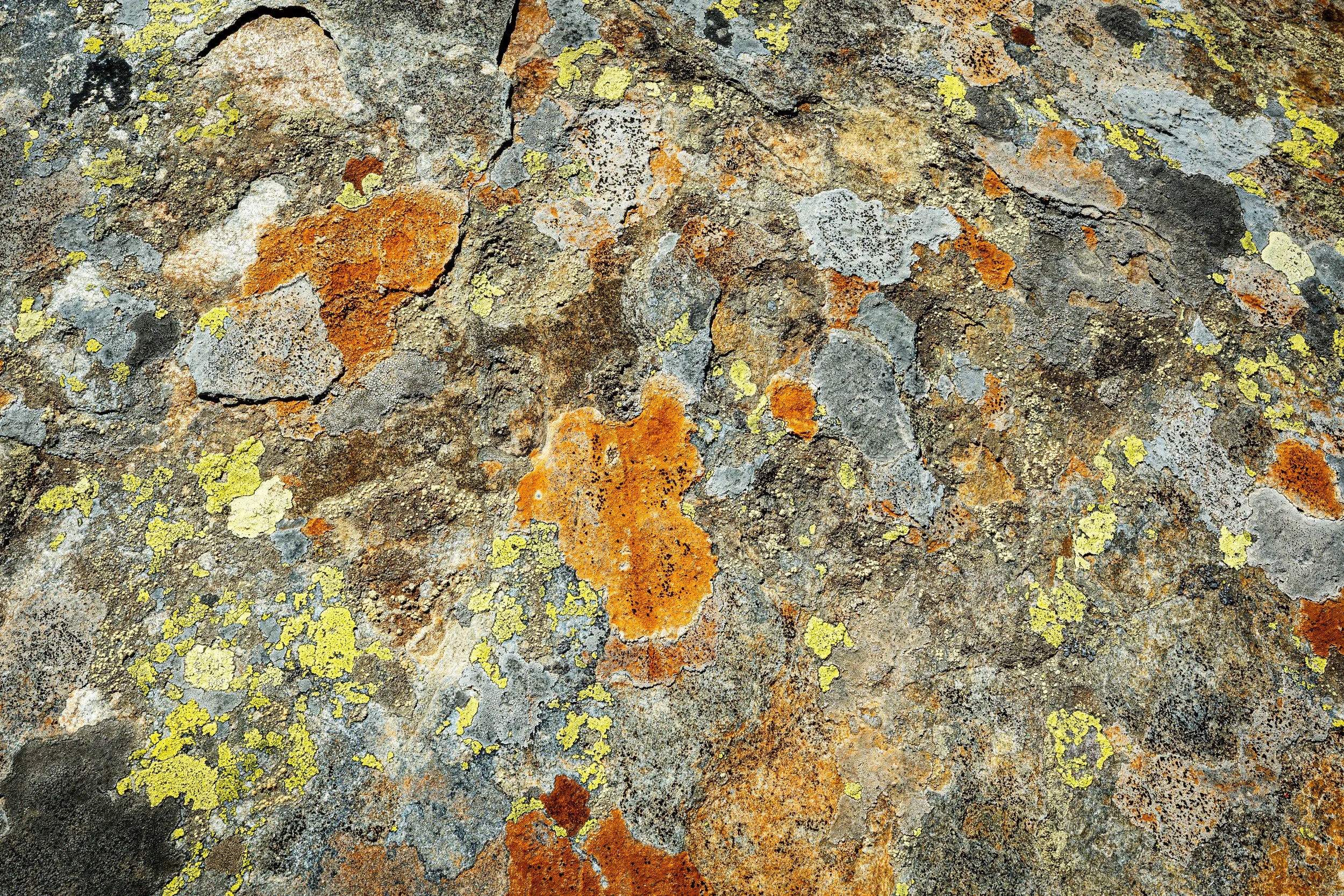 L1014385.jpg