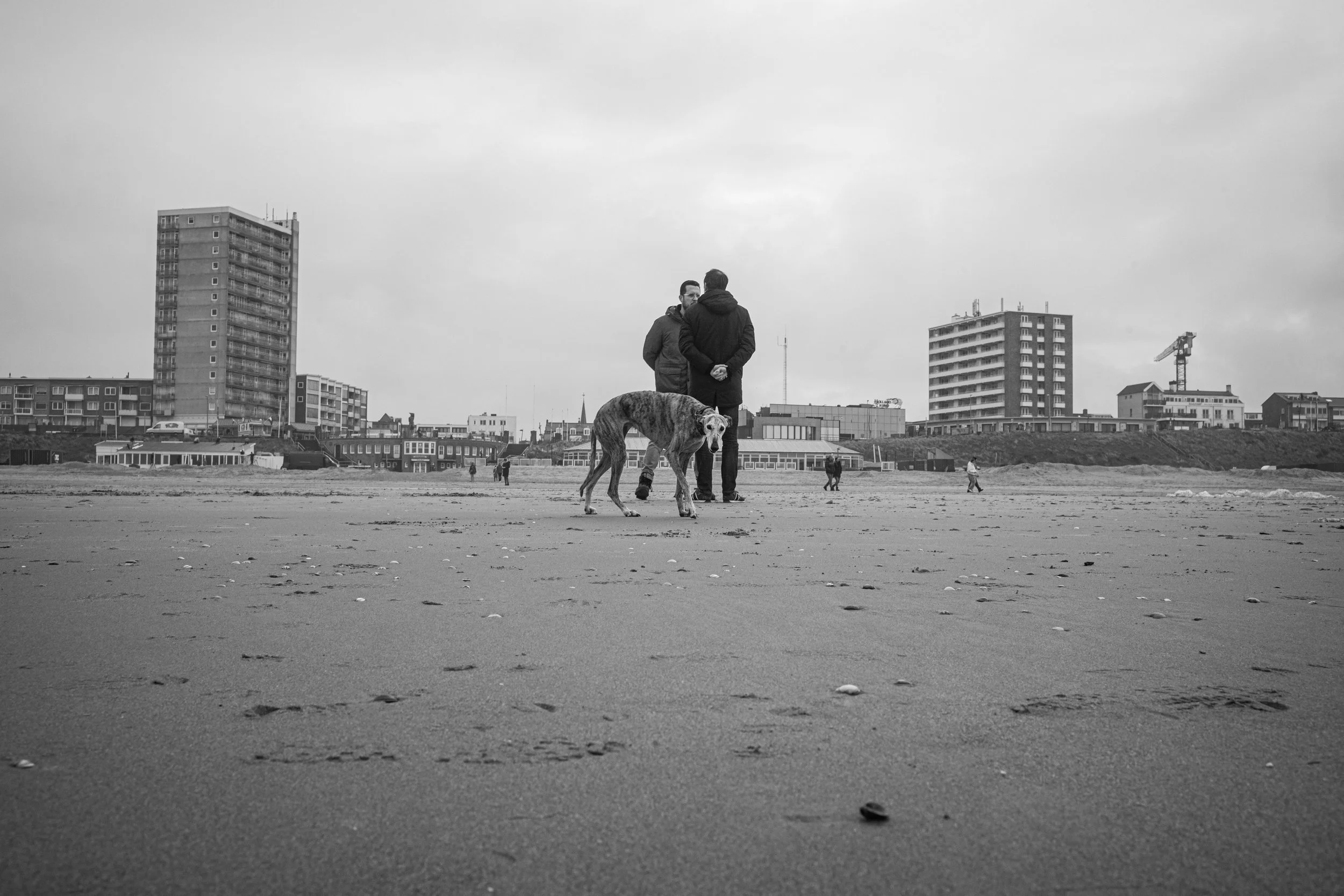 L1006622.JPG