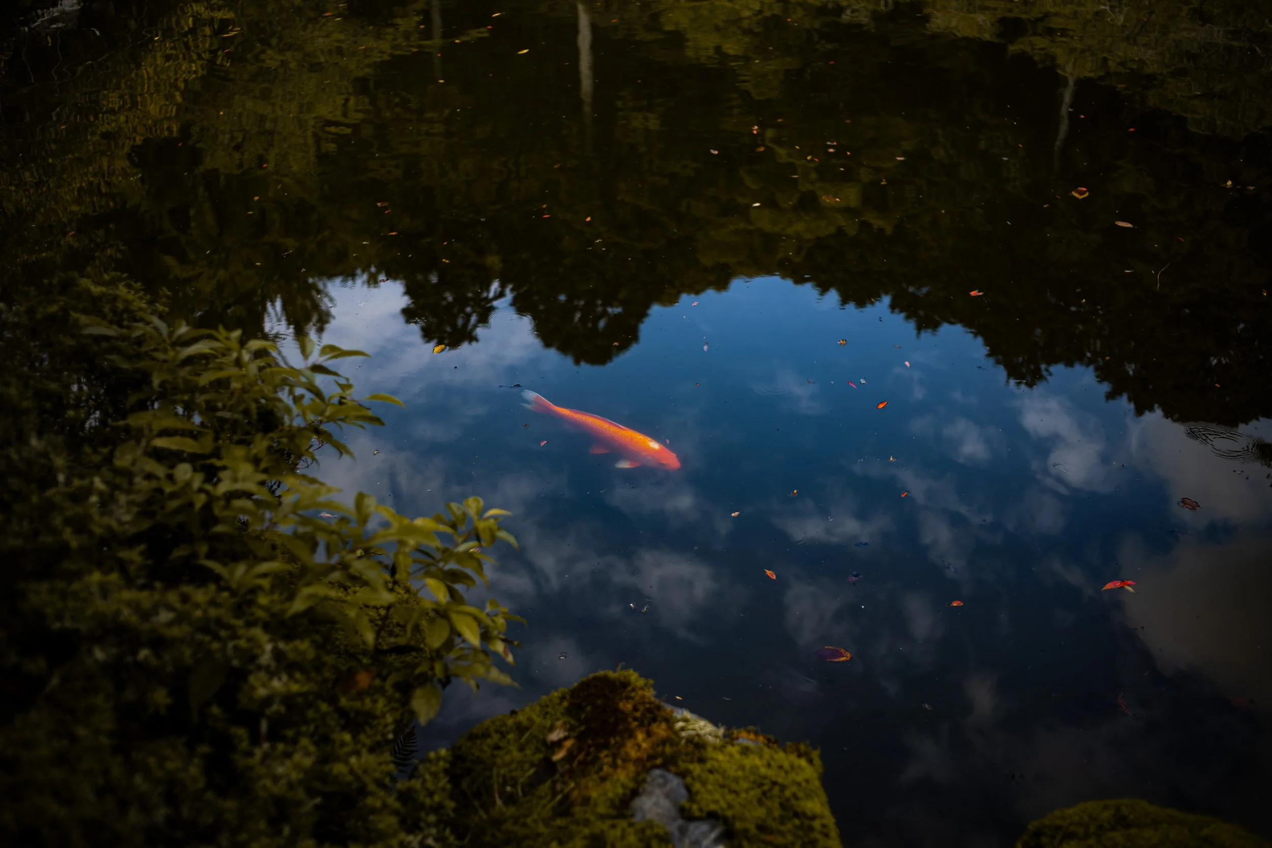 L1000497.jpg