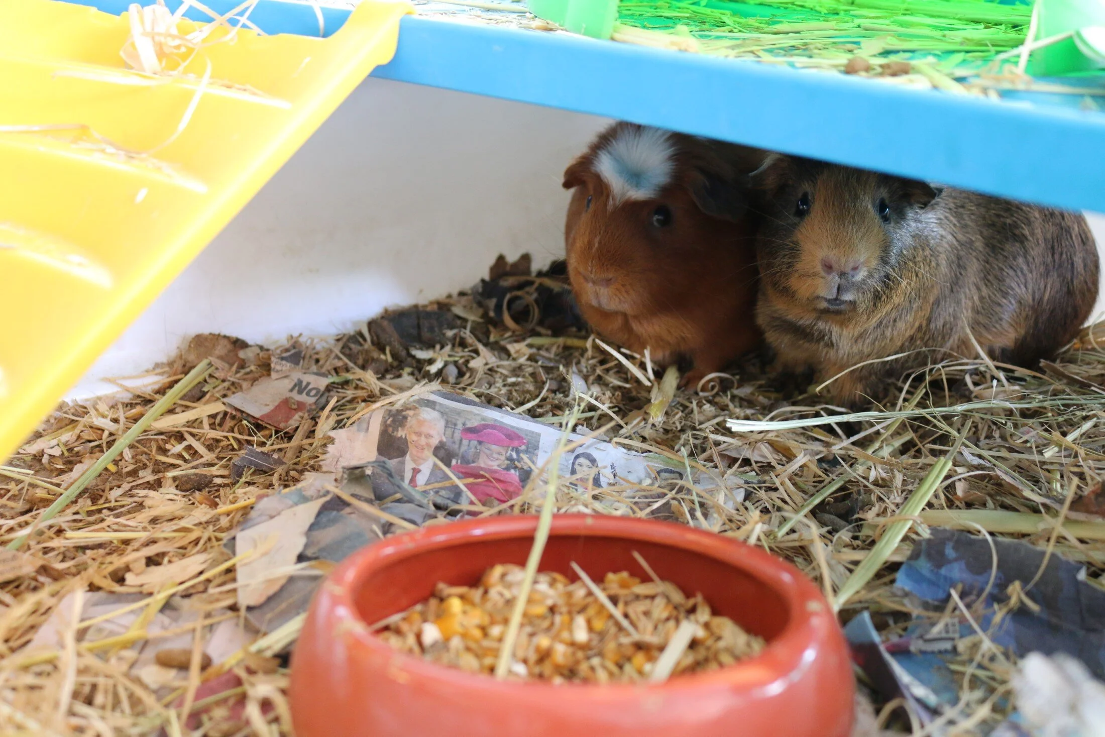 IMG_4386 (Custom).JPG