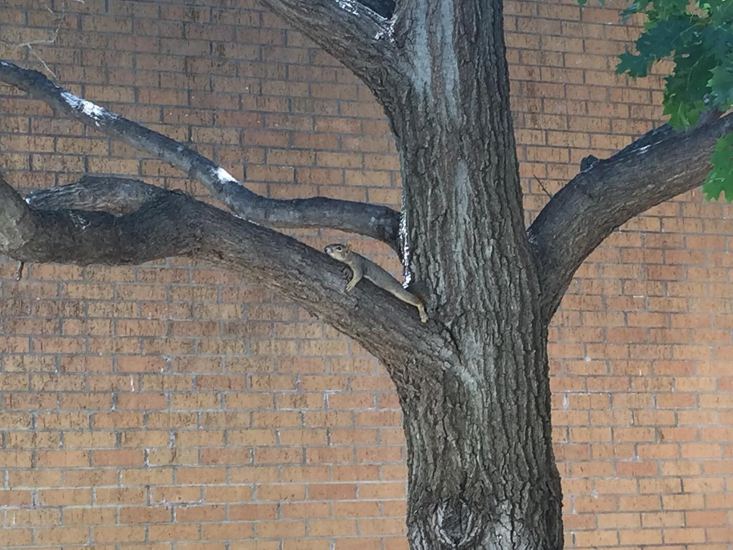 Four years ago today (2018) I flew across the country, without a clue 🕵️&zwj;♀️ what I was doing. 

I knew I felt frustrated by never having a satisfying outlet for music.  I found musical theater to be a bit &ldquo;much&rdquo; sometimes, but classi