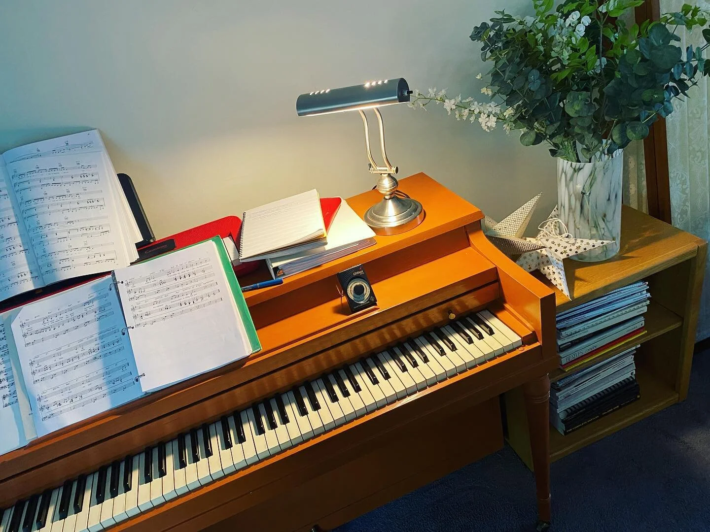 😊 🎹 🪴 ✨ 

#piano #pianonook #happyplace #practice