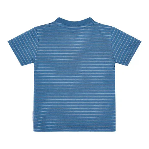 0032618_t-shirt-short-sleeves-indigo-stripe-cl26021150-cl26021151-cl26021152-cl26021153-cl26021154-cl2602115.webp