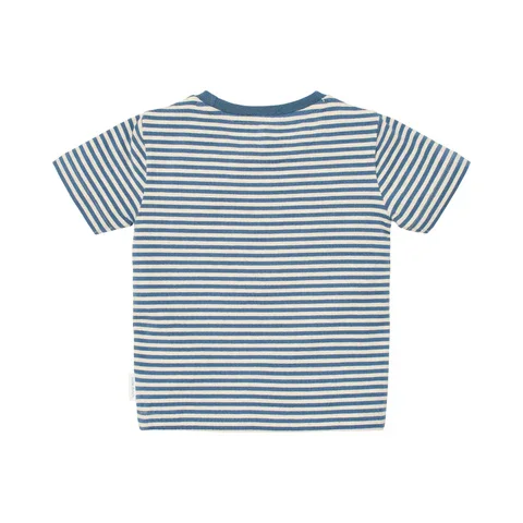 0033621_t-shirt-short-sleeves-indigo-sand-stripe-cl26021110-cl26021111-cl26021112-cl26021113-cl26021114-cl26.webp