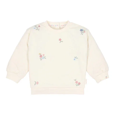 0032281_sweater-creme-cl26022010-cl26022011-cl26022012-cl26022013-cl26022014-cl26022015-product-1-shopify-sq.webp