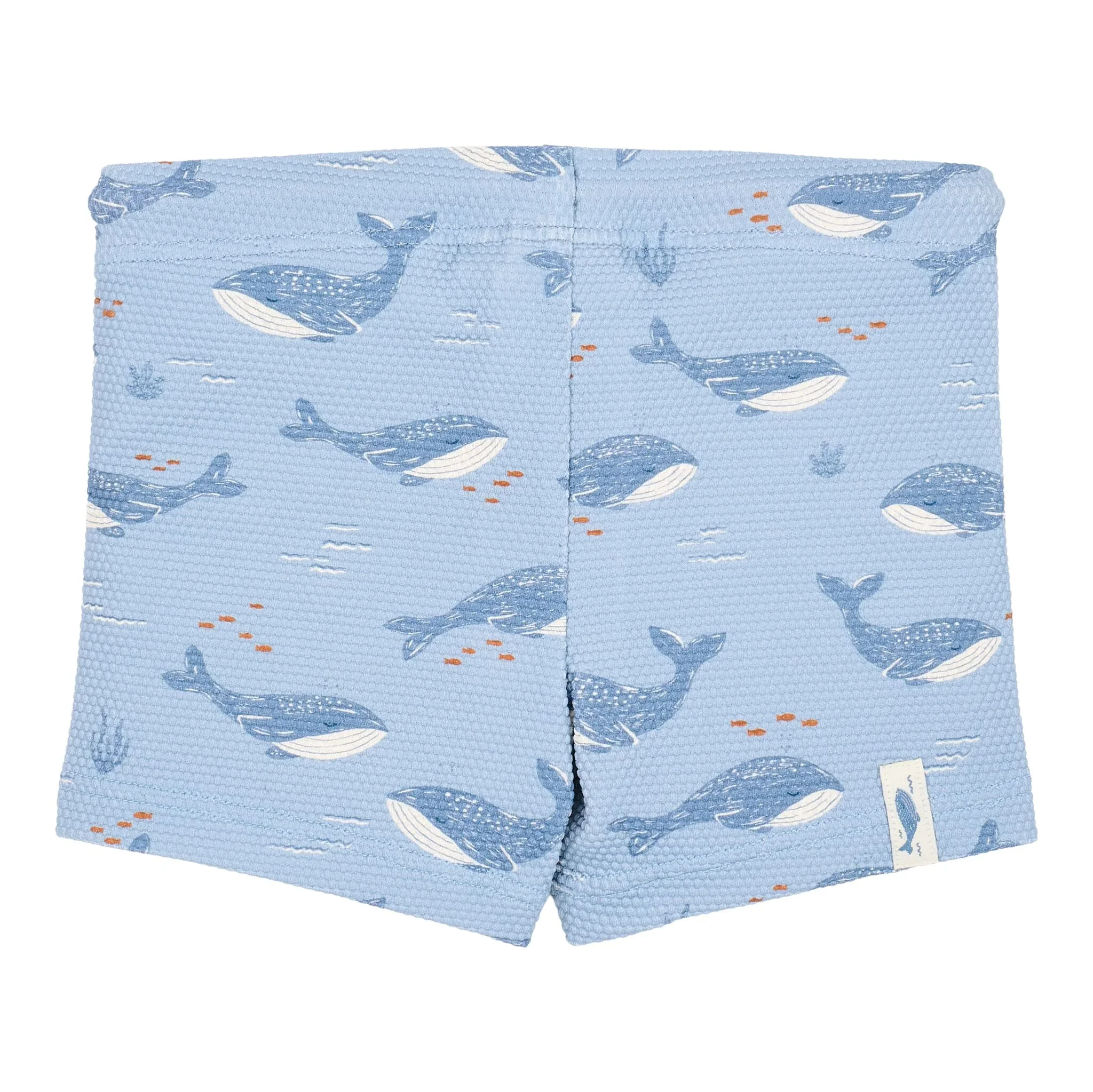 0033152_swim-shorts-ocean-splash-cl26030501-cl26030502-cl26030503-cl26030504-product-2-shopify-square.webp