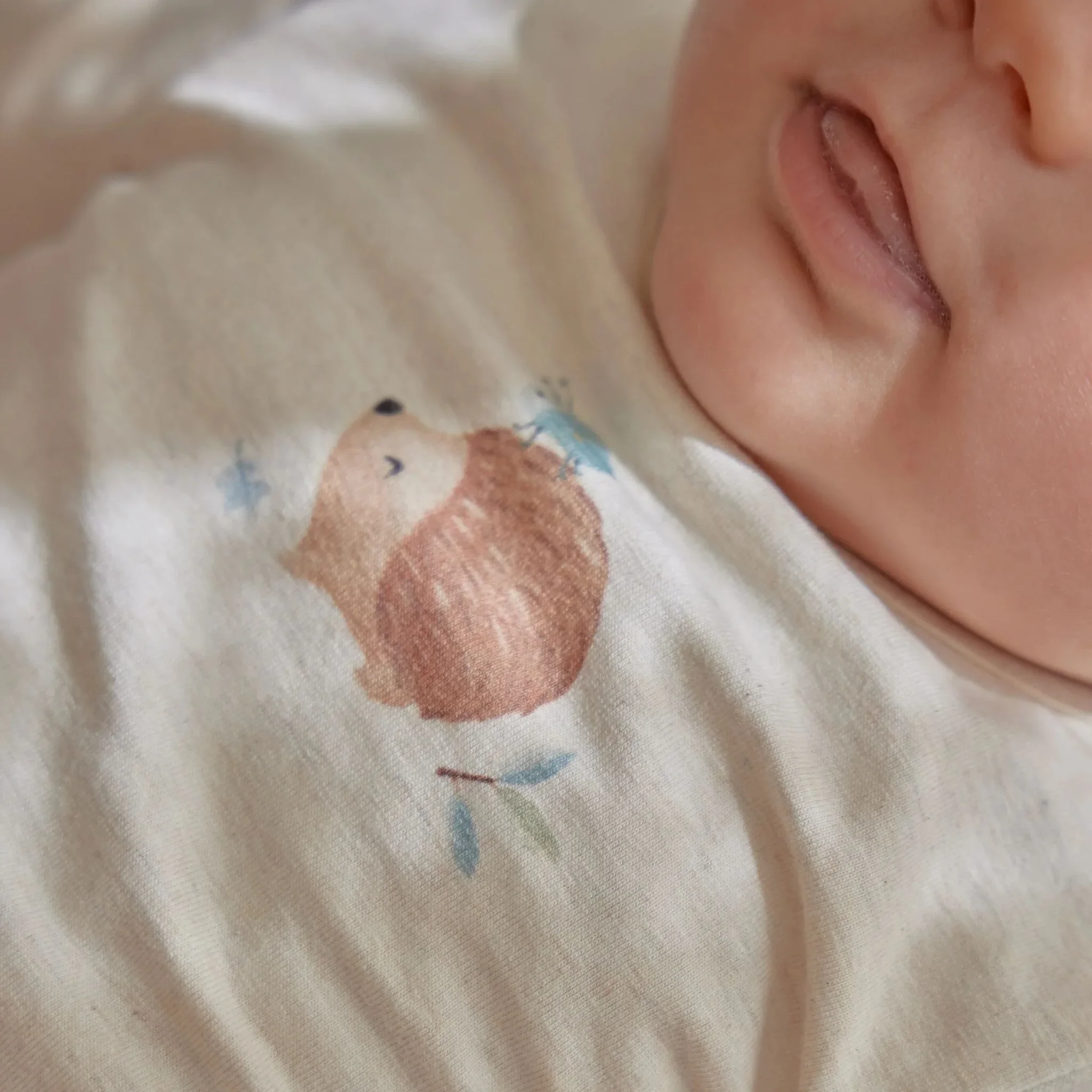 0032873_newborn-forest-friends-fairy-garden-clothing-collection-summer-2026-83-shopify-square.webp