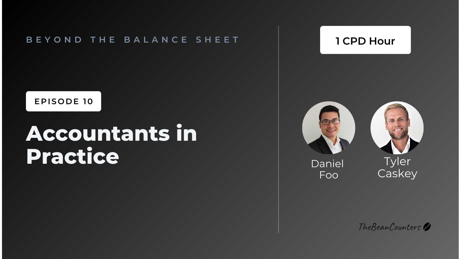 E10 - Accountants In Practice