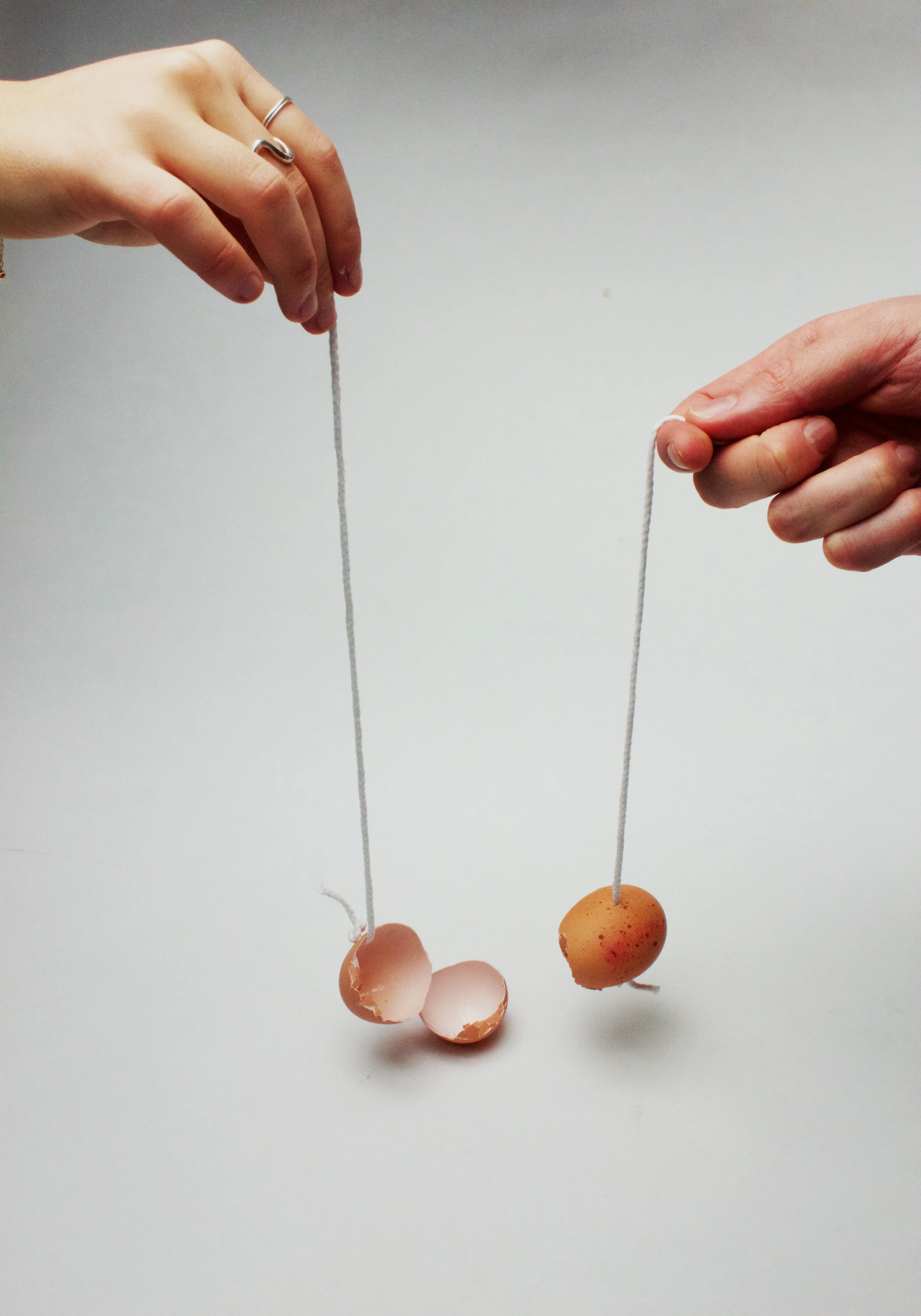 egg conkers 1.jpg