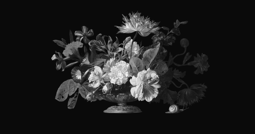 Intégrale des cantates G.H. Stölzel - Ensemble Phaenomen