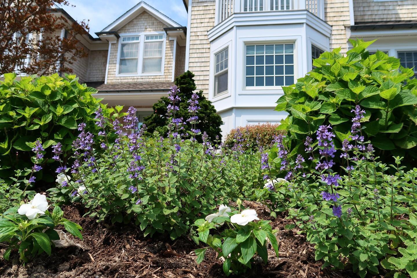 look good, feel good. 
&bull;
#landscape
#longisland
#nature
#garden
#lawn
#landscapephotography
#gardenlovers
#nassaucountylandscape
#wanderlust
#landscapelovers
#landscapearchitect
#landscapearchitecture 
#seasonalmaintenance 
#gardengoals
#landsca