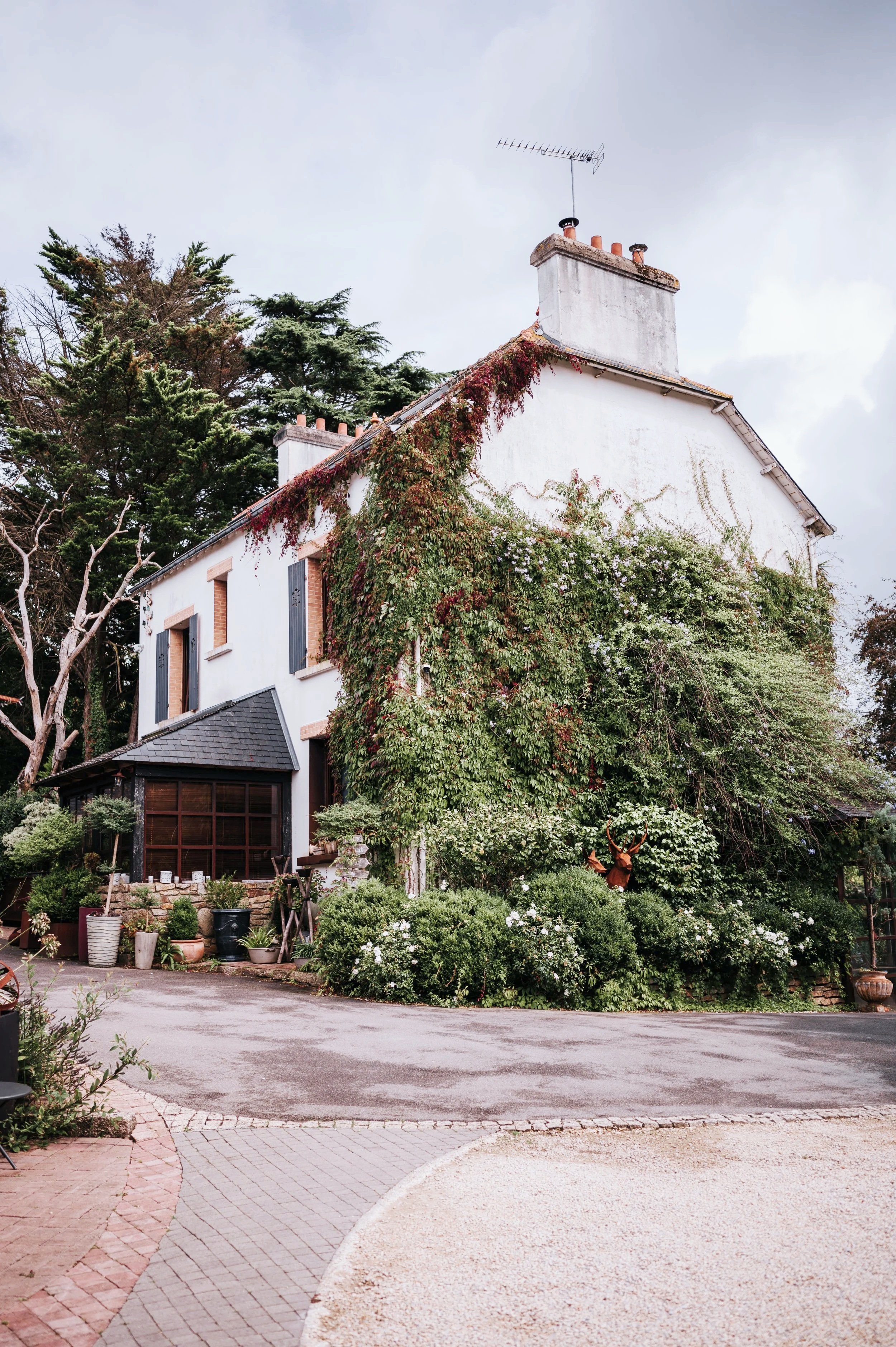 Une maison blanche en brique avec des fenêtres à volets bleus, entourée de végétation luxuriante, y compris des arbres et des plantes grimpantes, sous un ciel nuageux.