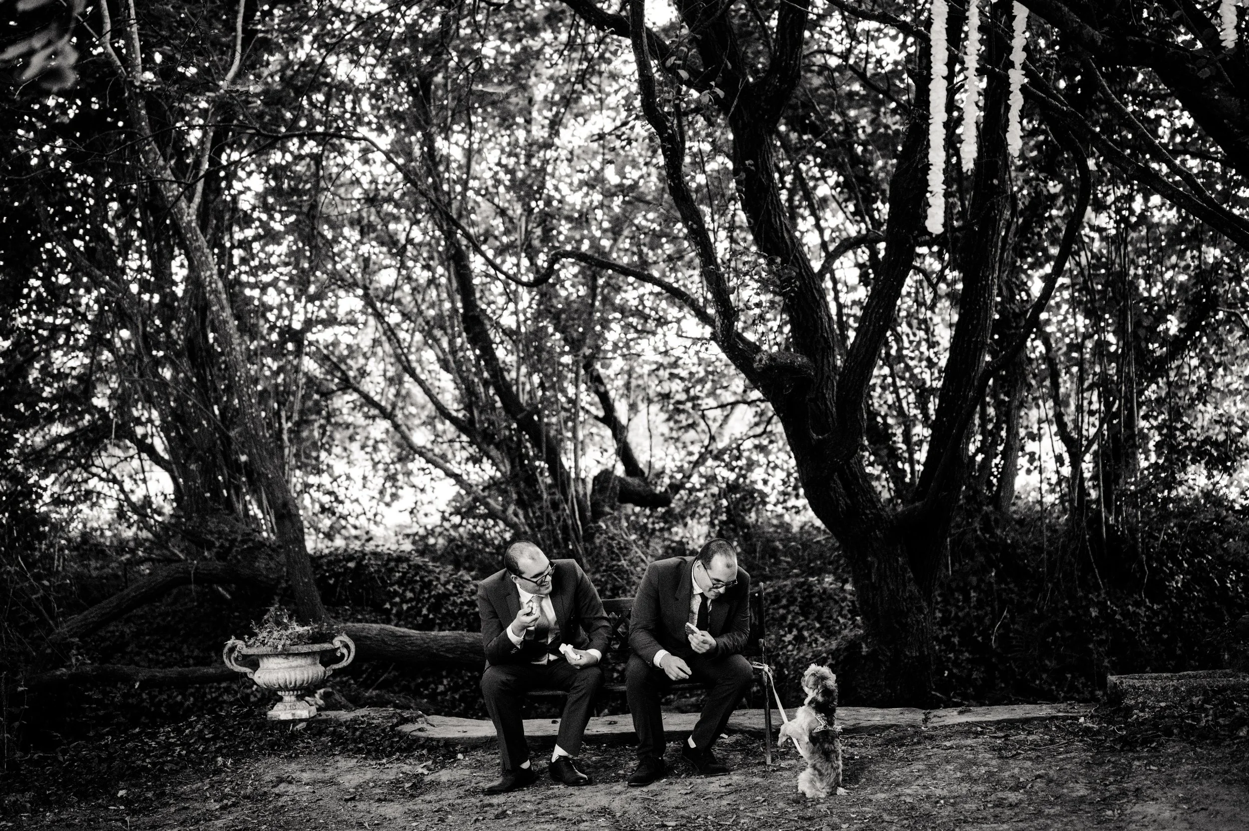 Léa-Fery-Photographe-Mariage-Famille-Bretagne-9693.jpg