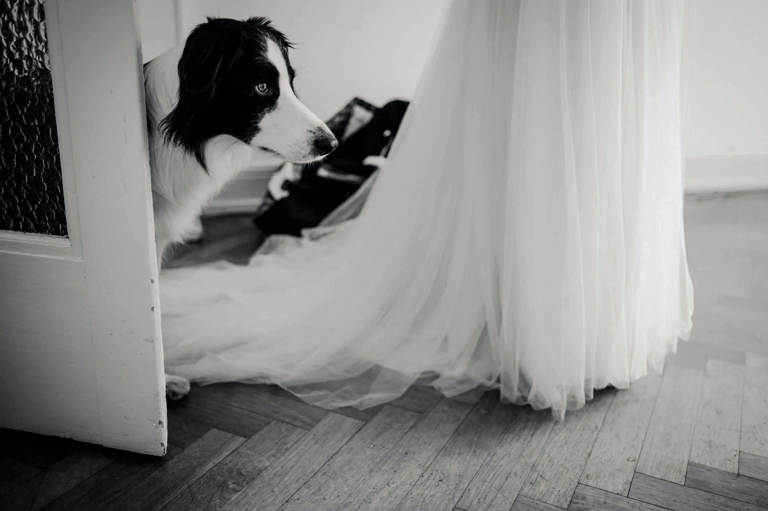 Léa_Fery_Photographe_Mariage_Bretagne-6576.jpg