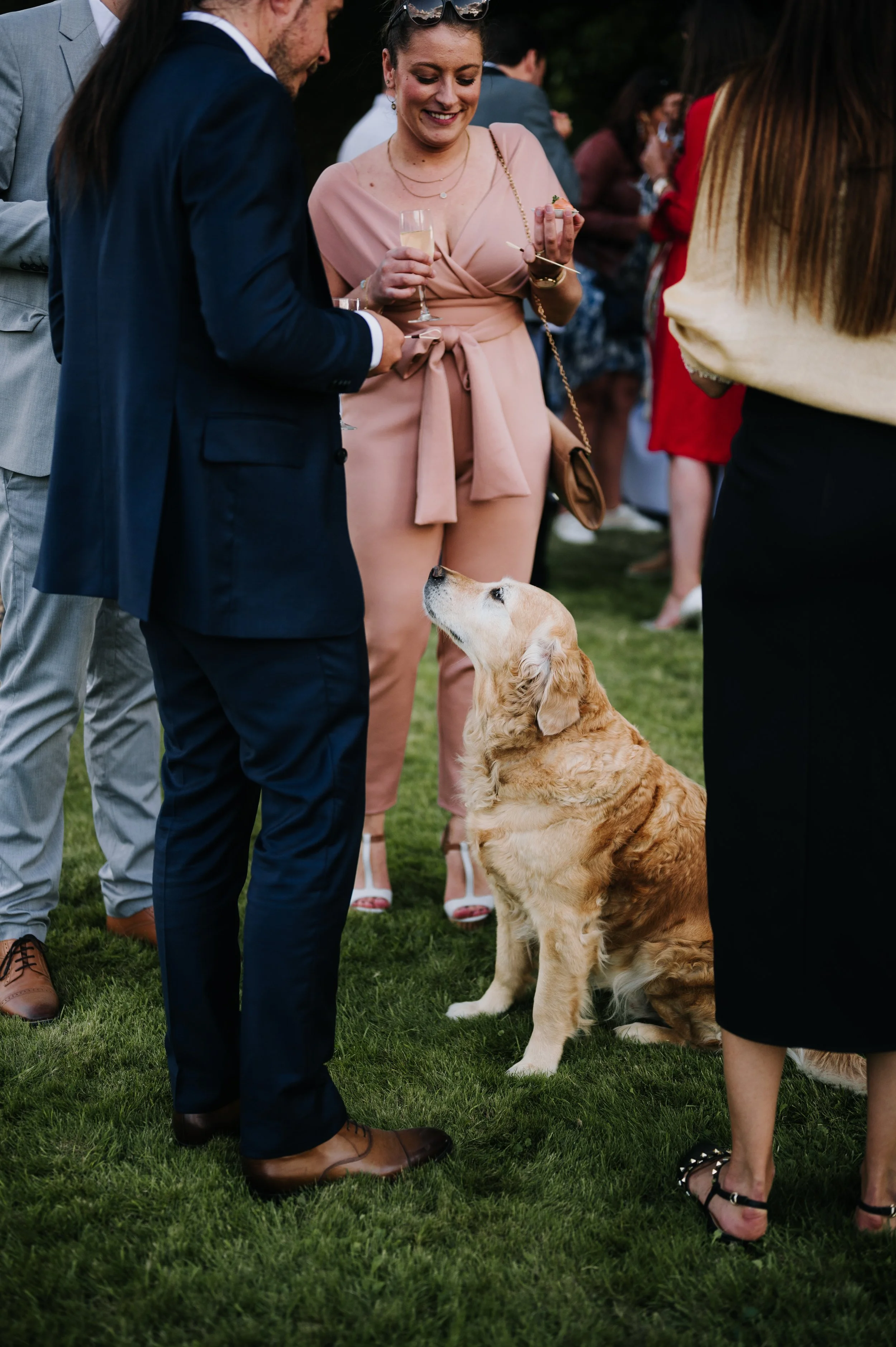Léa-Fery-Photographe-Mariage-Famille-Bretagne-2250.jpg