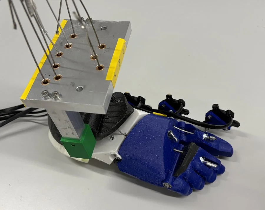 Model for testing muscle control.jpg