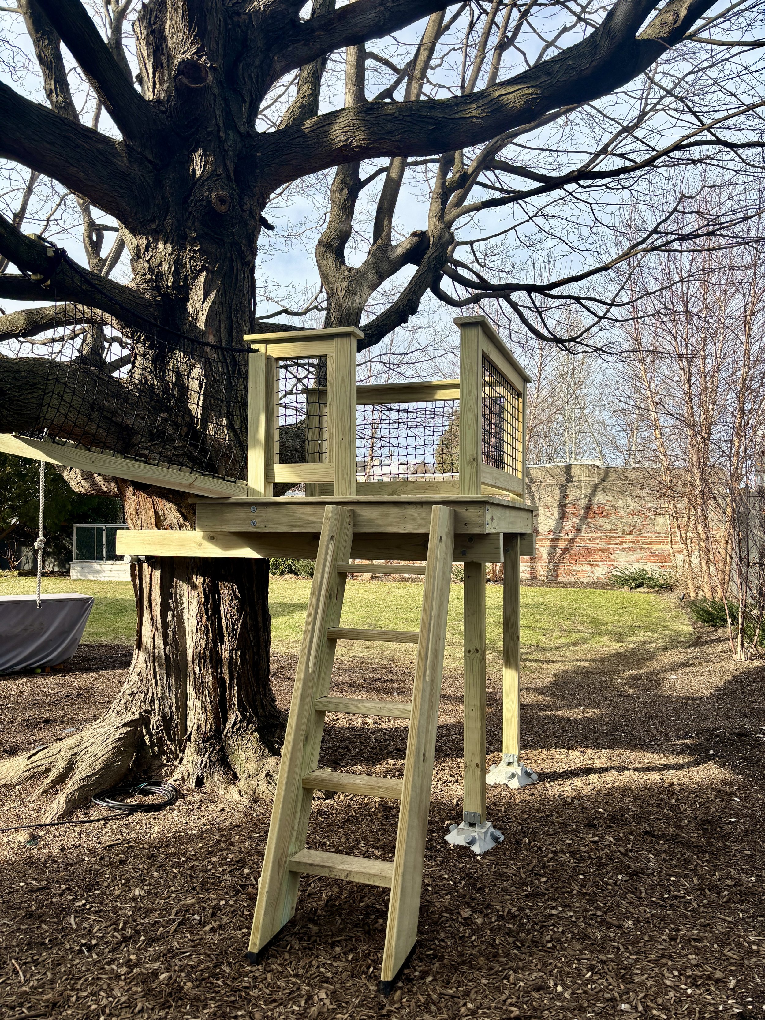 A wooden treehouse platform built around a large tree in a backyard, with a wooden ladder leading up to it, and a safety net attached to the side.