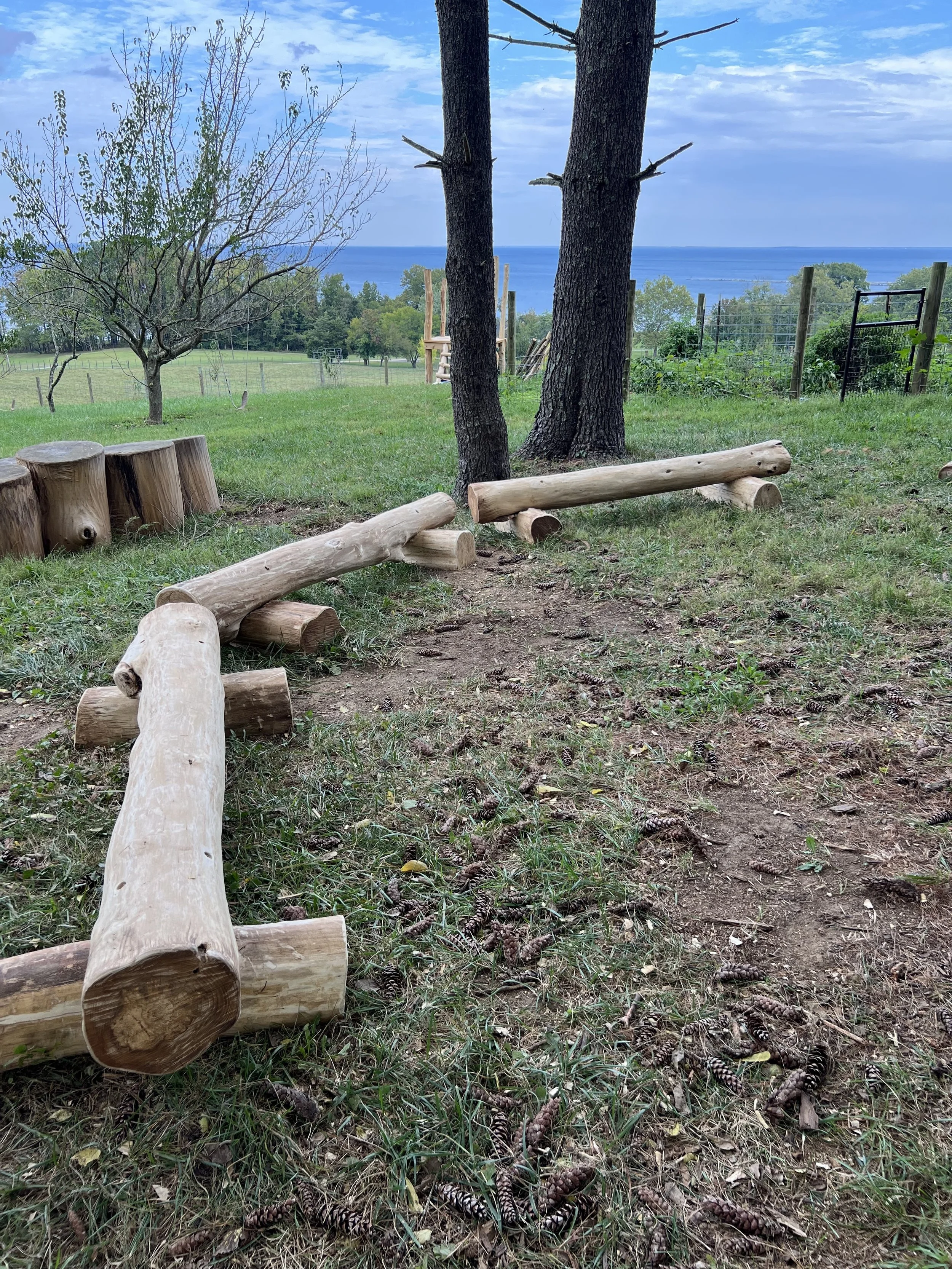 A scenic outdoor view with a grassy area, trees, a blue sky with clouds, and the ocean in the distance. There are wooden logs arranged on the ground and some small plants and pinecones nearby.