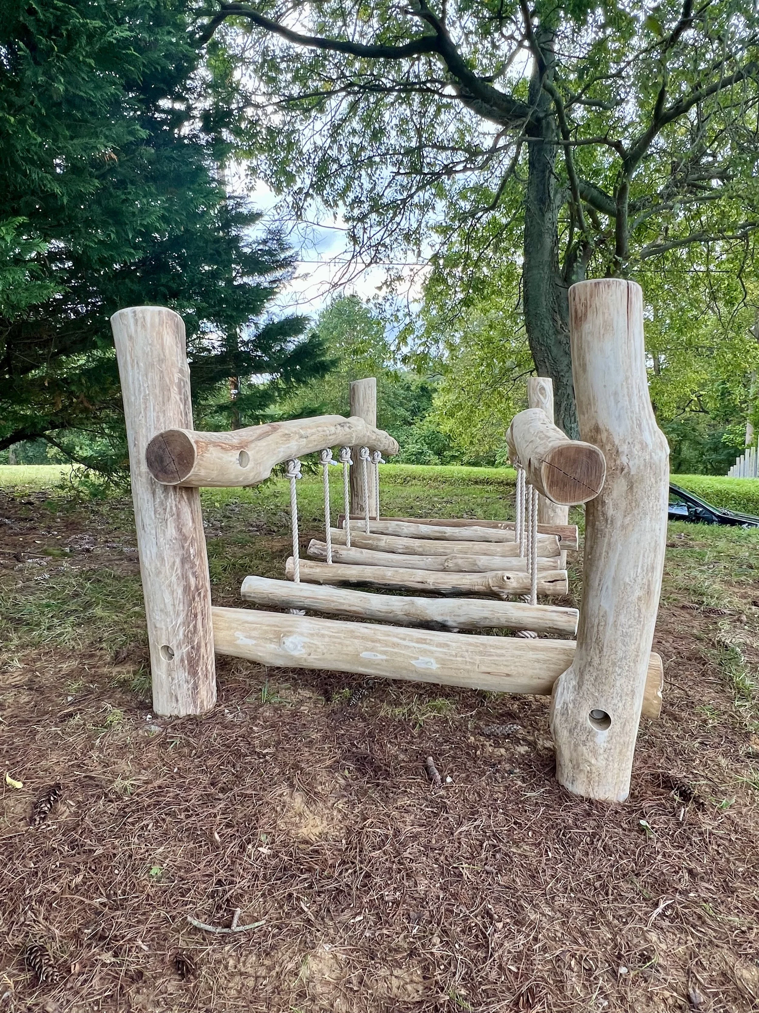 A wooden play structure resembling a small bridge with logs and rope rails situated outdoors among trees on a dirt and pine cone-covered ground.