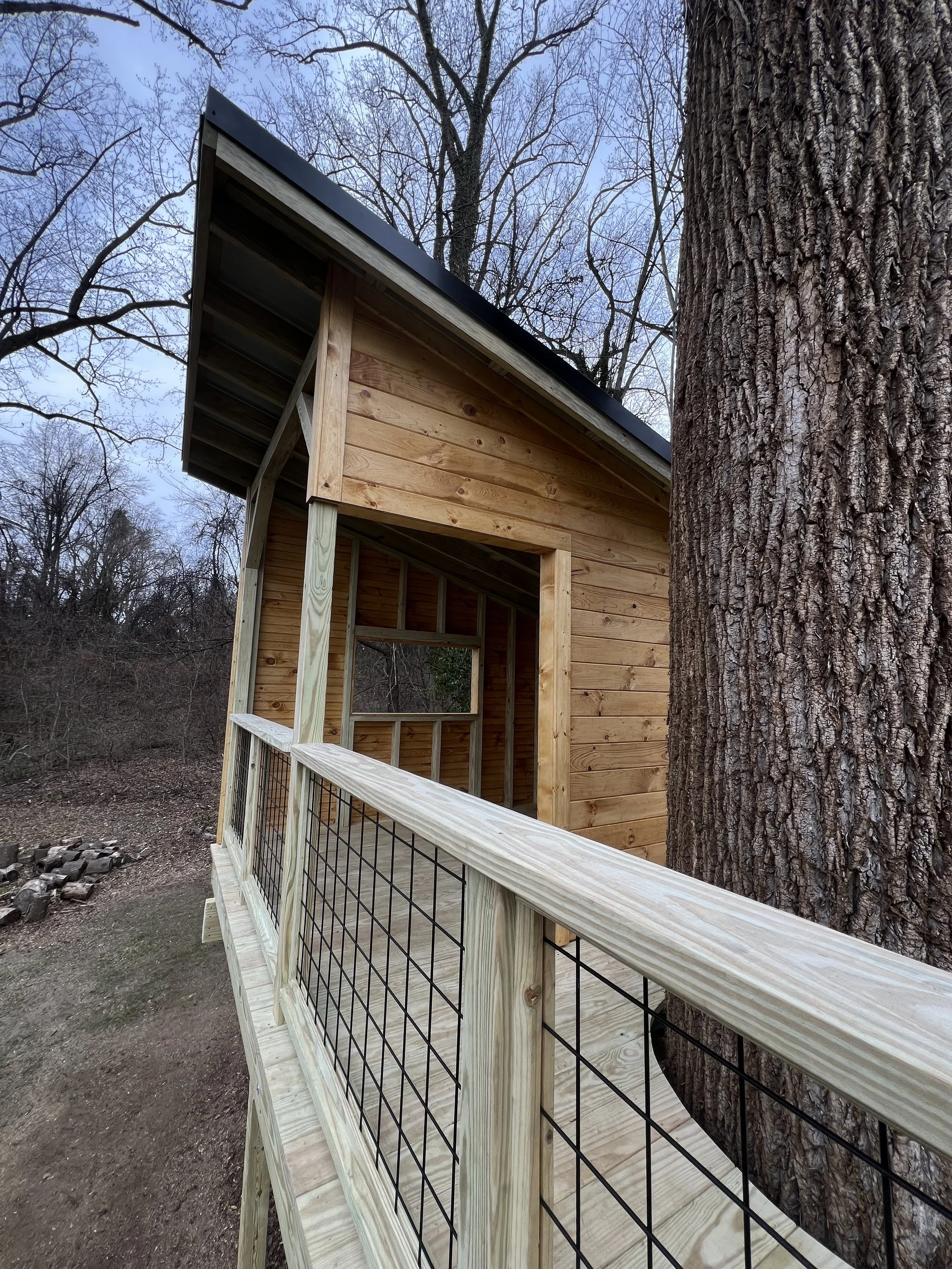 A partially constructed wooden shed with a black metal roof, situated next to a large tree in a wooded area.