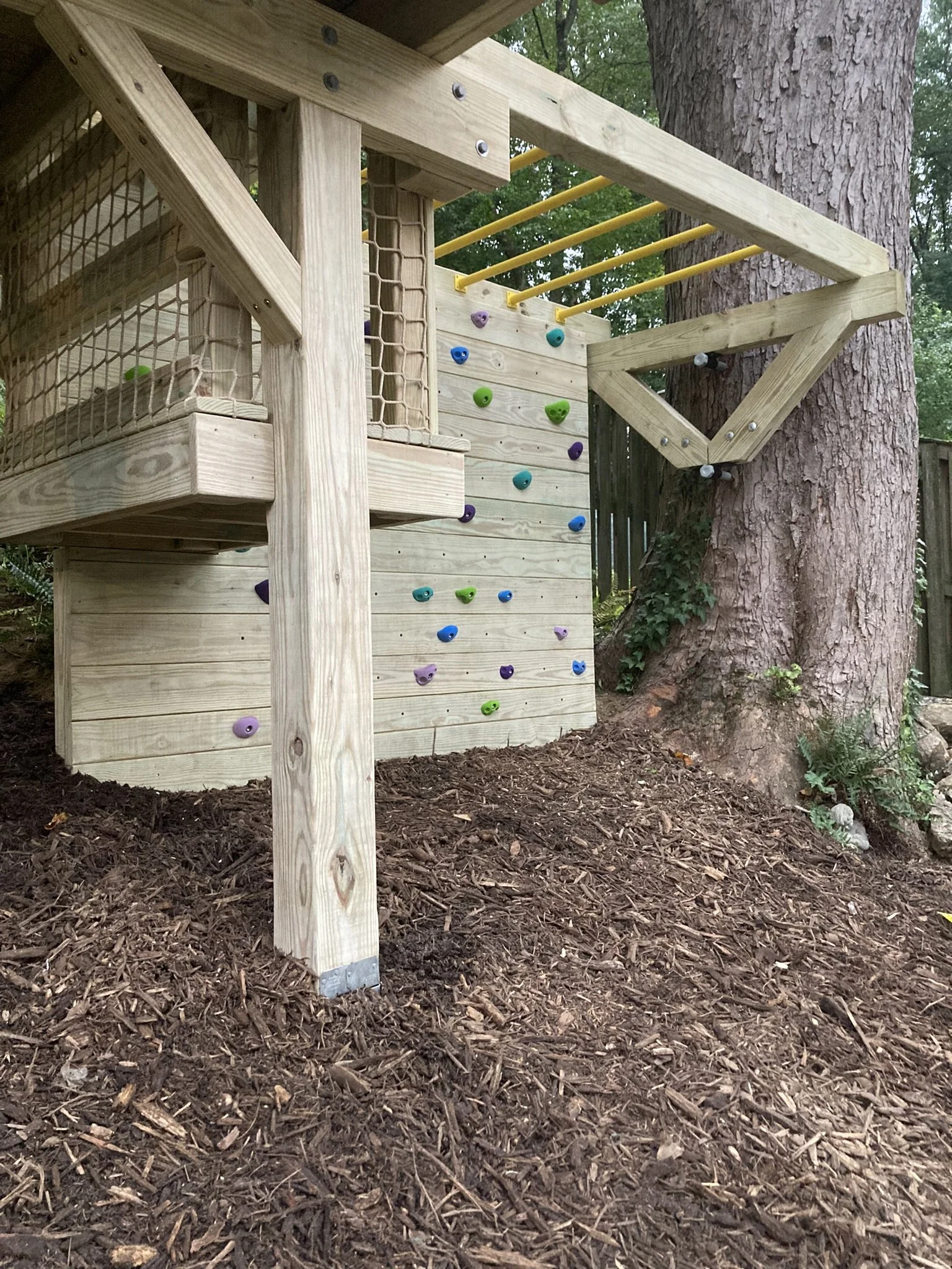 Climbing wall and monkey bars anchored to a tree