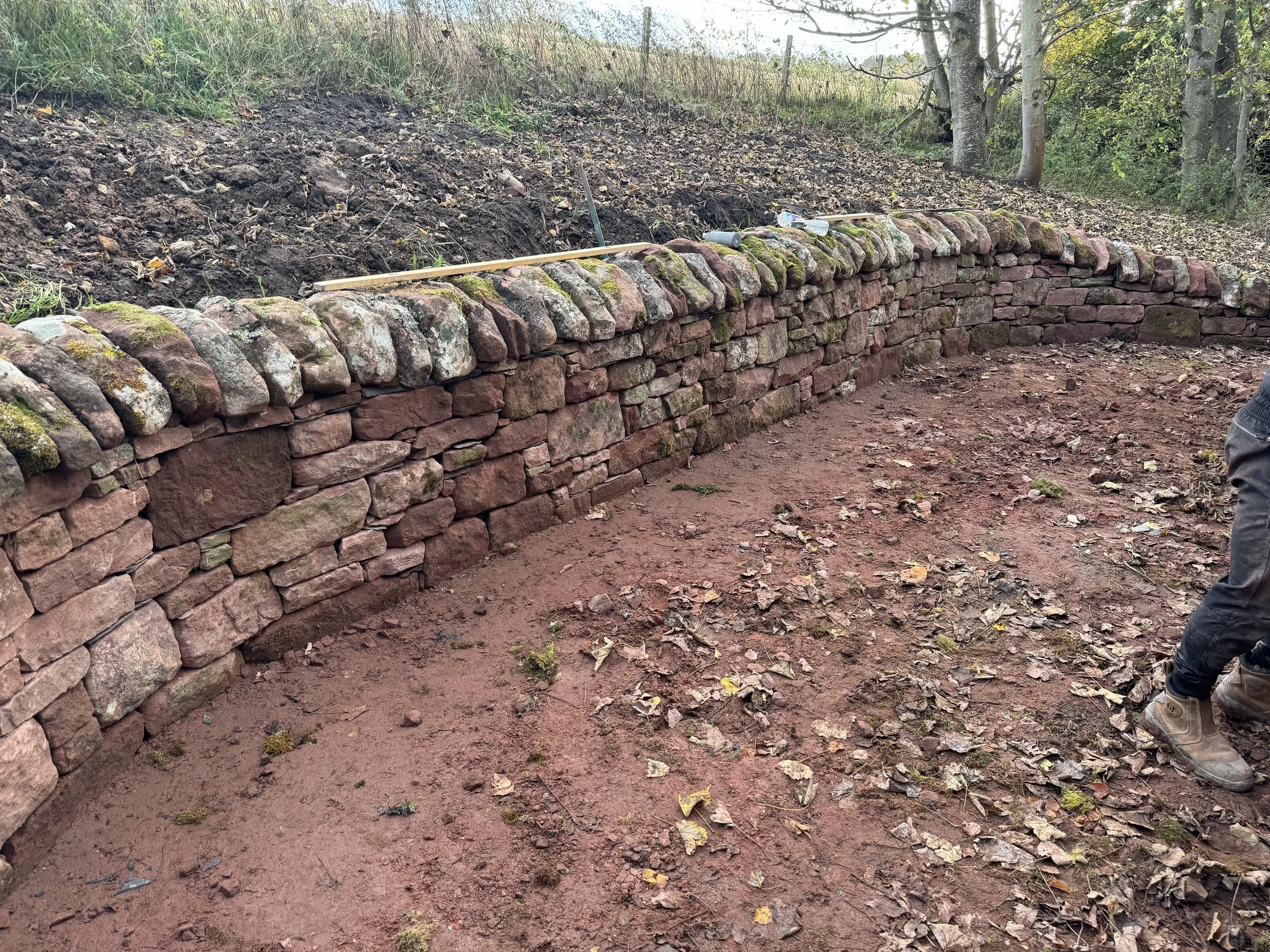 Photo 30-10-2024, 15 18 27.jpg