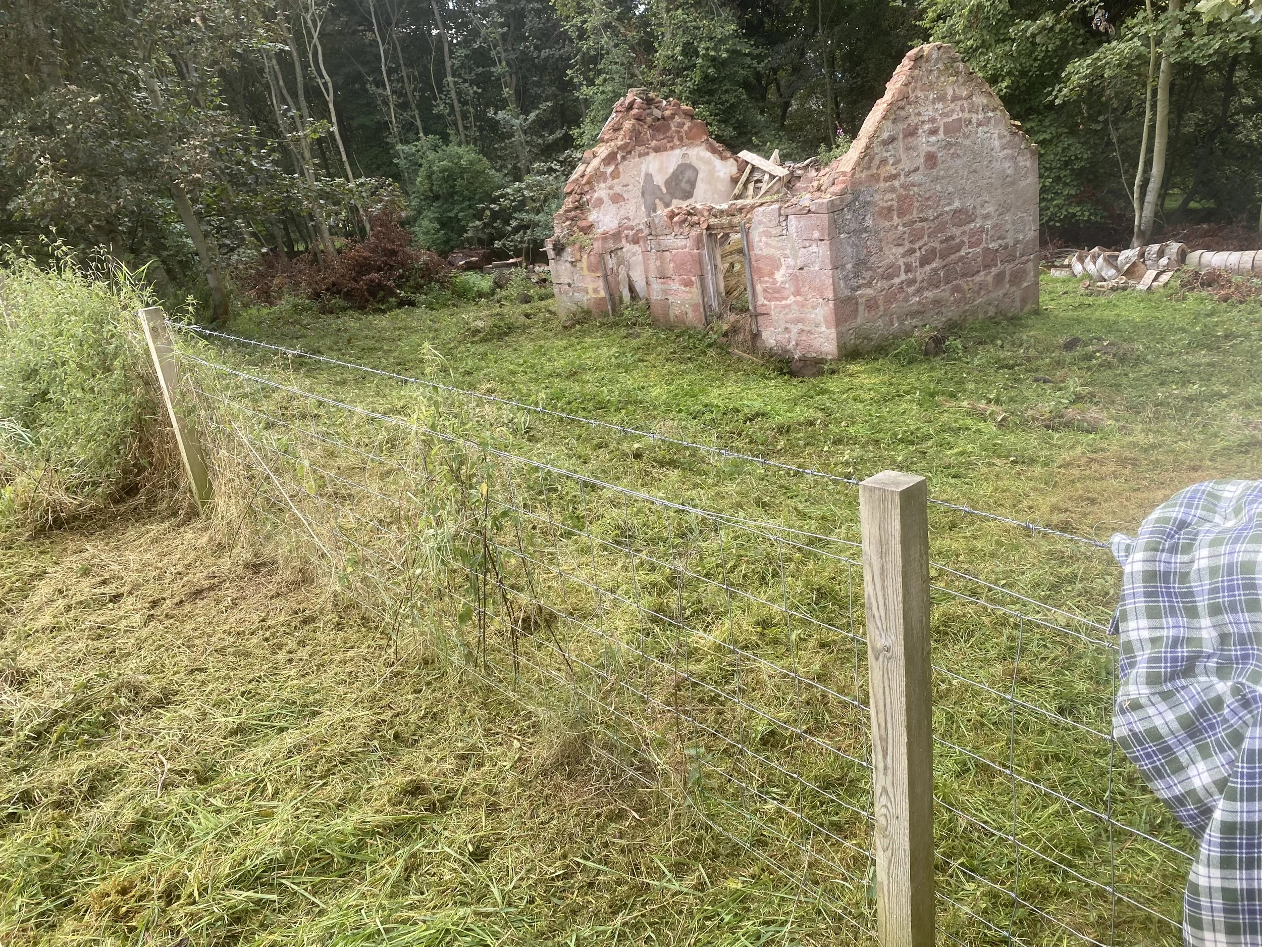 Photo 11-09-2023, 16 12 49.jpg