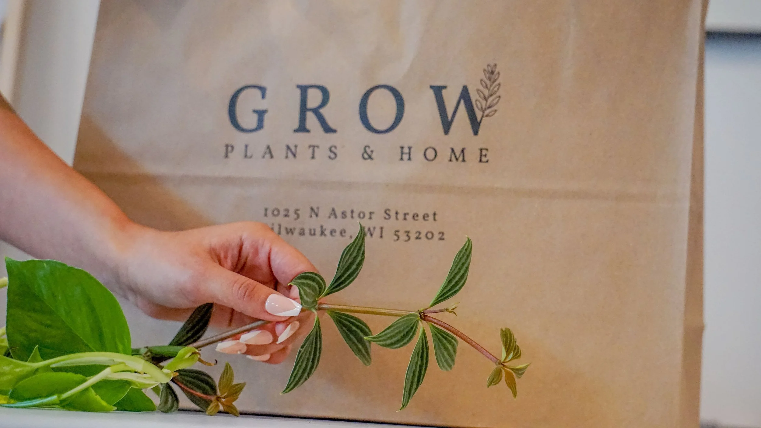 Grow Plants & Home