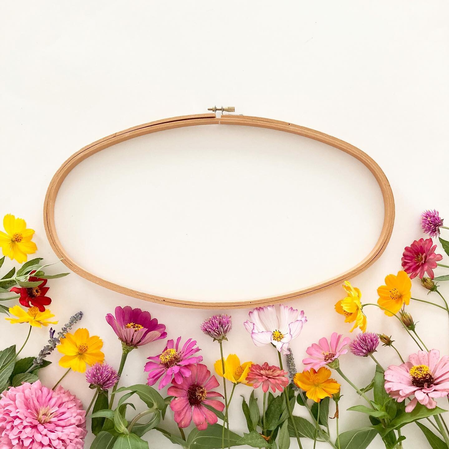 😍 No caption needed, but&hellip;I got a lot of hoops from my Grandma&rsquo;s farm last week and my flower patch is blooming wildly! What are your favorite flowers? These cosmos and zinnias are mine!