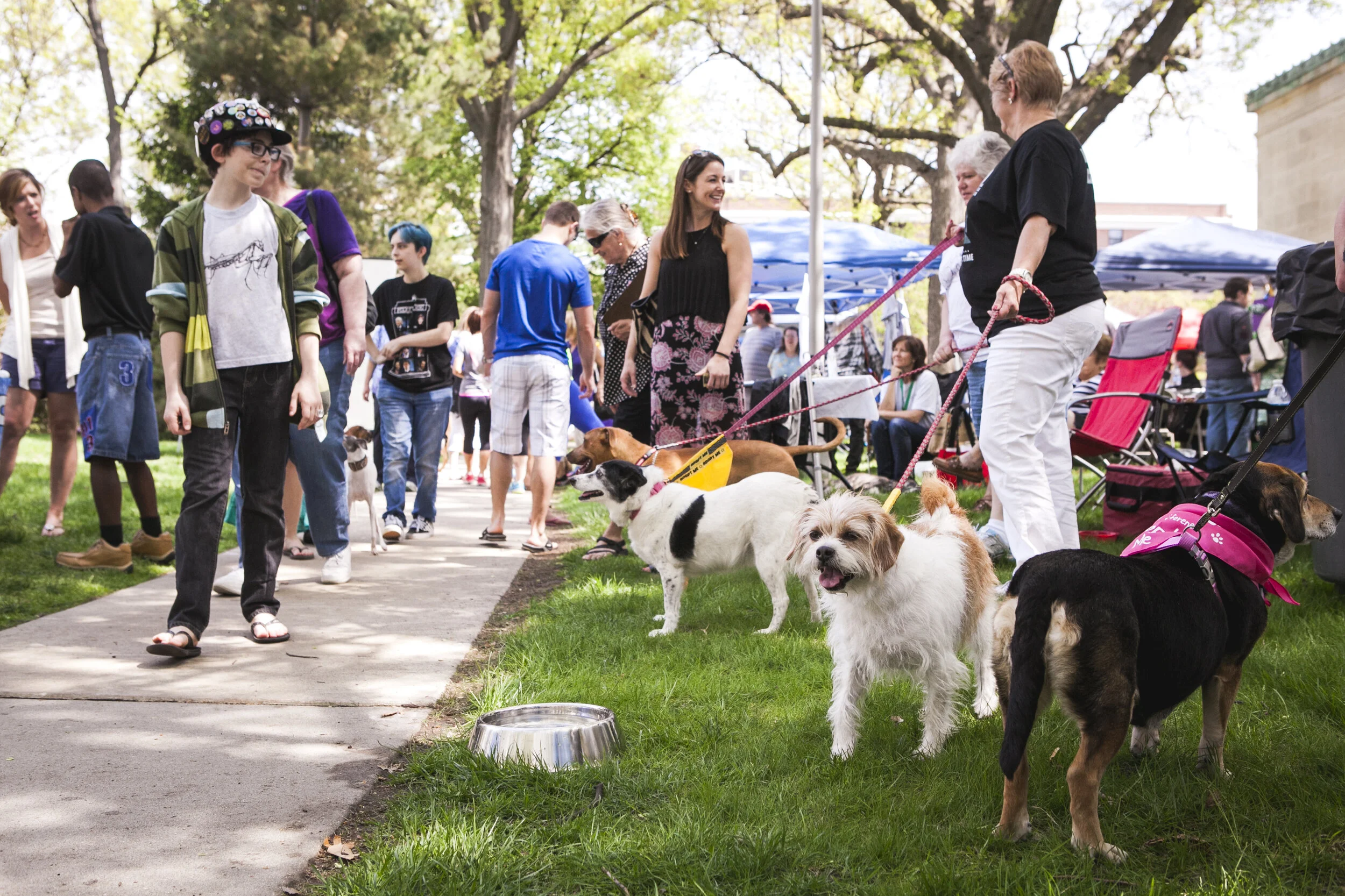 Experience: K-9 May 9: A Day for the Dogs