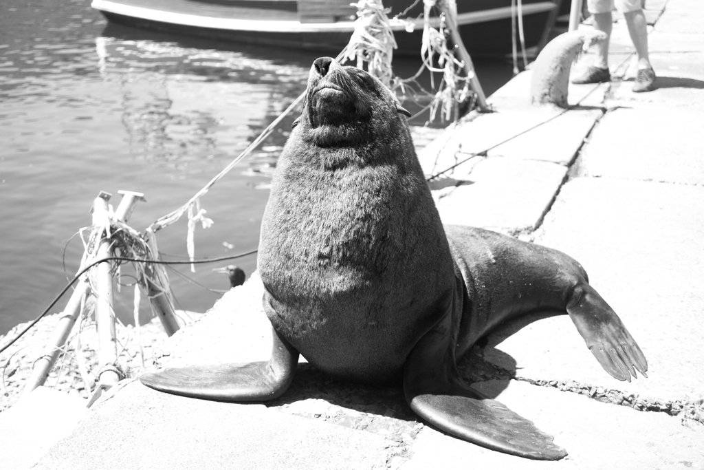 TravelPresentation (333 of 483).jpg