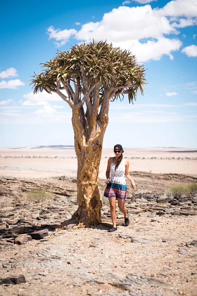 TravelPresentation (442 of 483).jpg