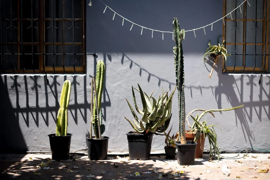 TravelPresentation (341 of 483).jpg