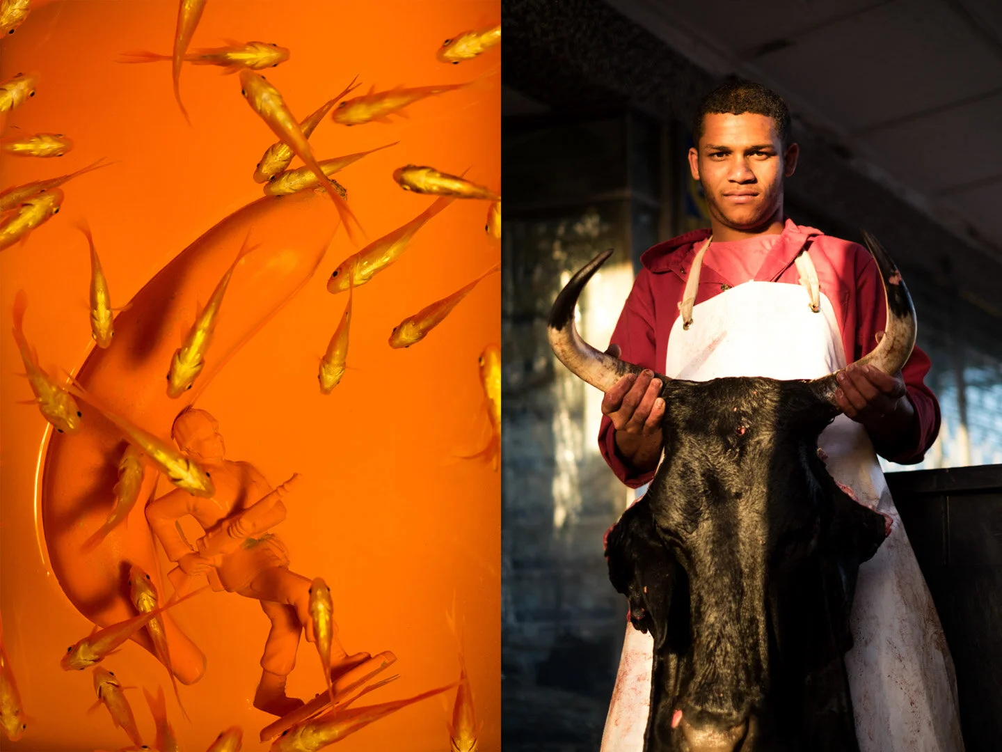 Alex Hopkins Photographer Portraits I (11 of 15).jpg