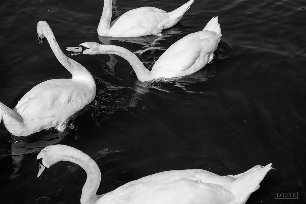 126_StreetPhotos_LondonLoureBlog (30 of 41).jpg