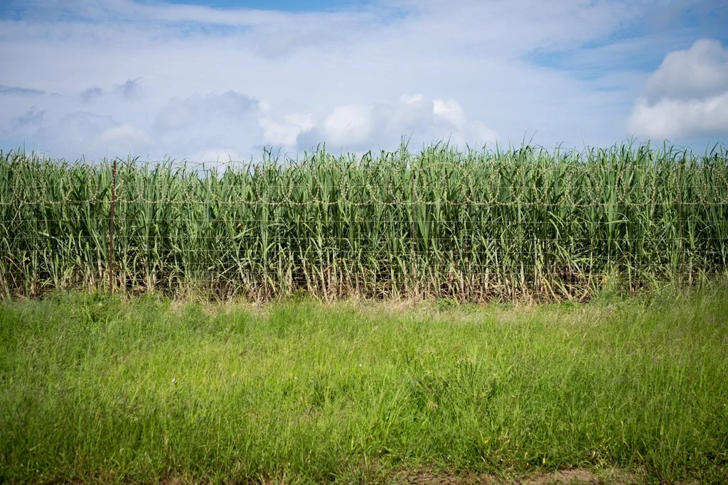 TravelPresentation (403 of 483).jpg