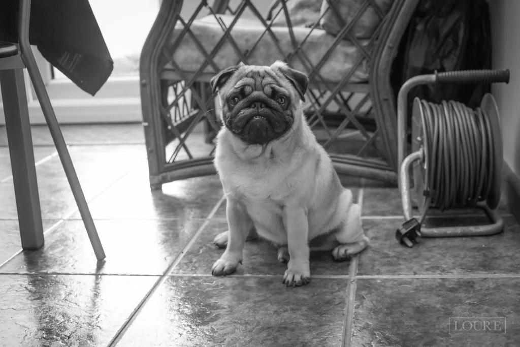 130_WorthingBeachDavids_photos (39 of 44).jpg