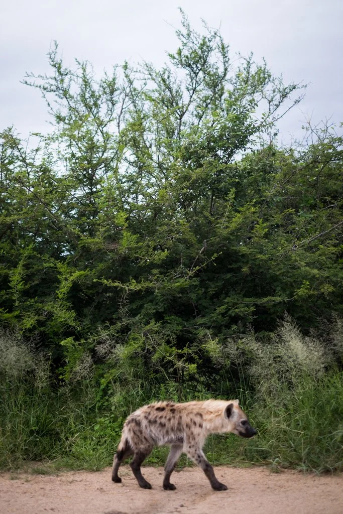 TravelPresentation (409 of 483).jpg