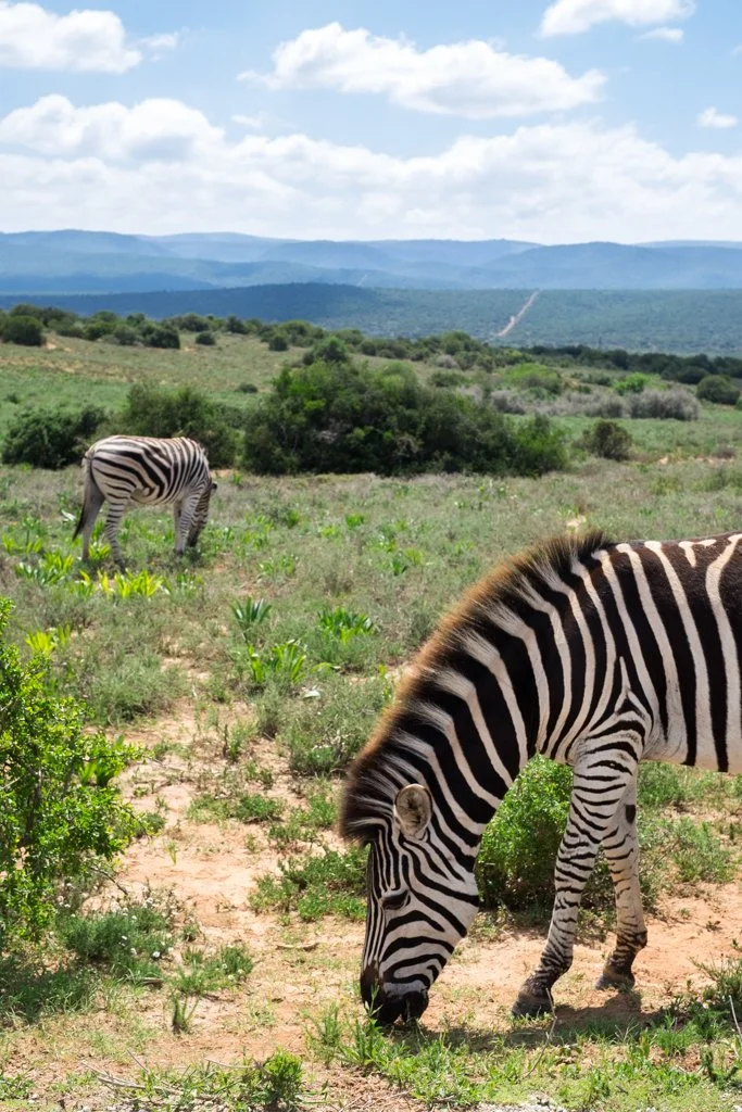 TravelPresentation (388 of 483).jpg