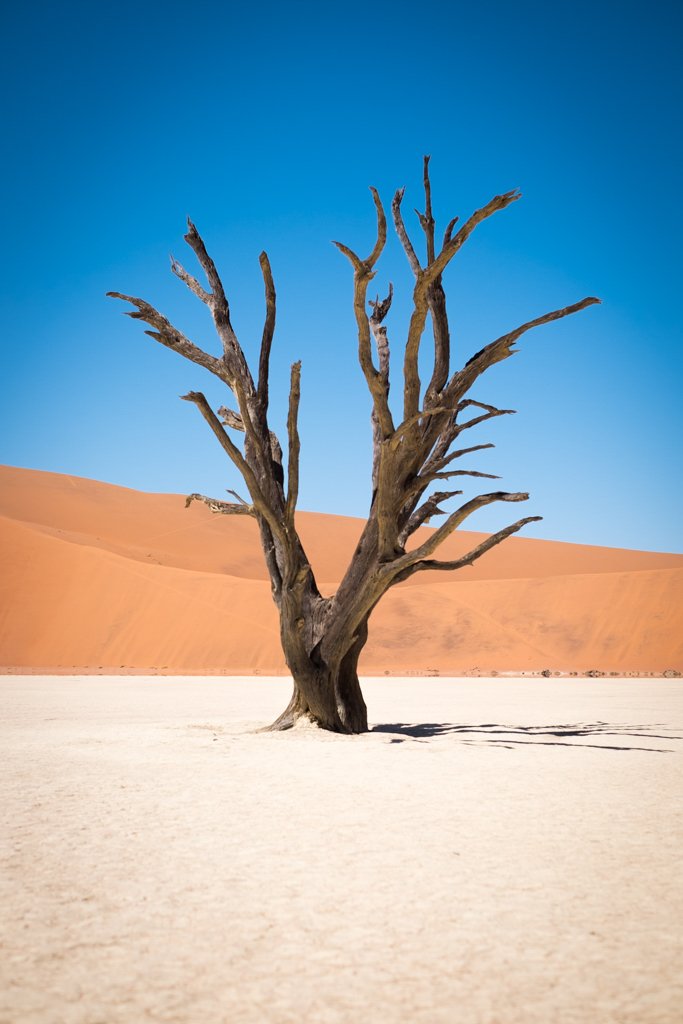 TravelPresentation (447 of 483).jpg