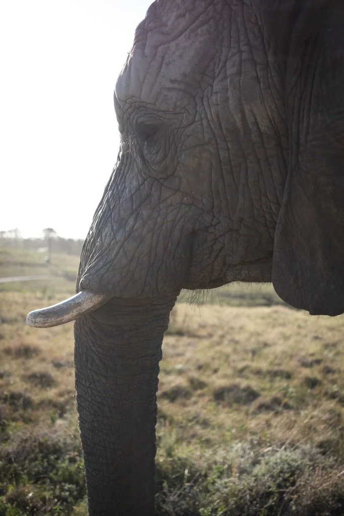 TravelPresentation (380 of 483).jpg