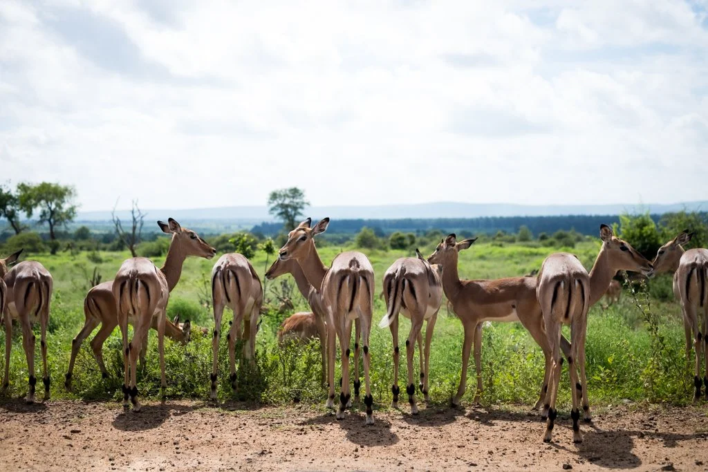 TravelPresentation (404 of 483).jpg