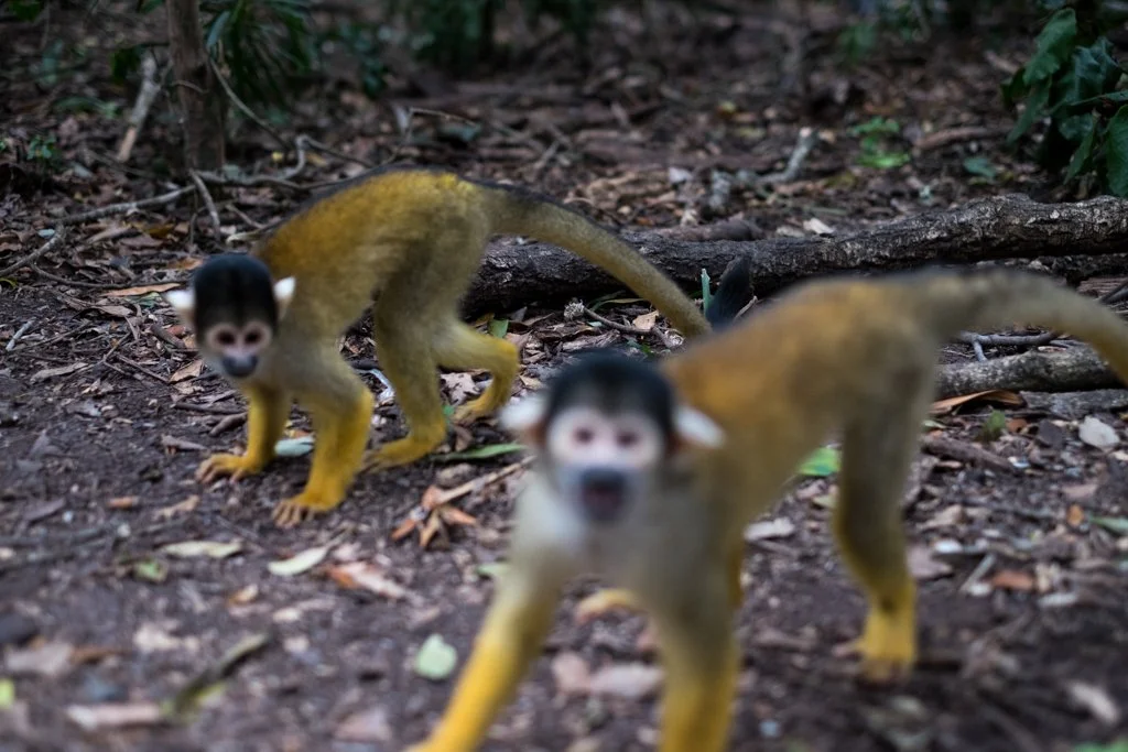 TravelPresentation (376 of 483).jpg