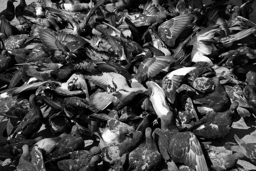 134_VeniceTrip_Photos (71 of 84).jpg